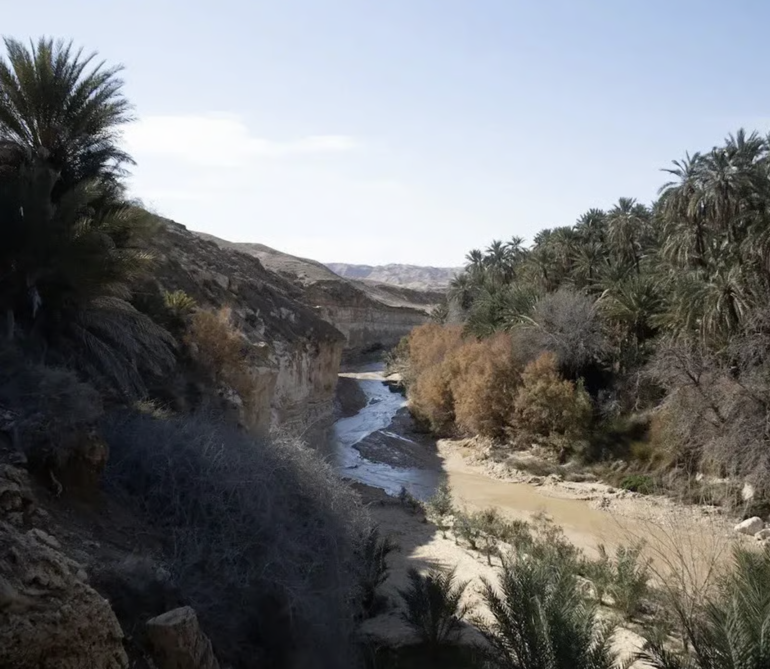 Tamerza (Tamaghza): A guide to Tunisia’s very own Grand Canyon oasis